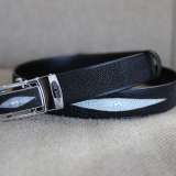 Stingray Men belt : BLA 1.5" 0