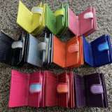 JP-04: Stingray Wallet (Rainbow)